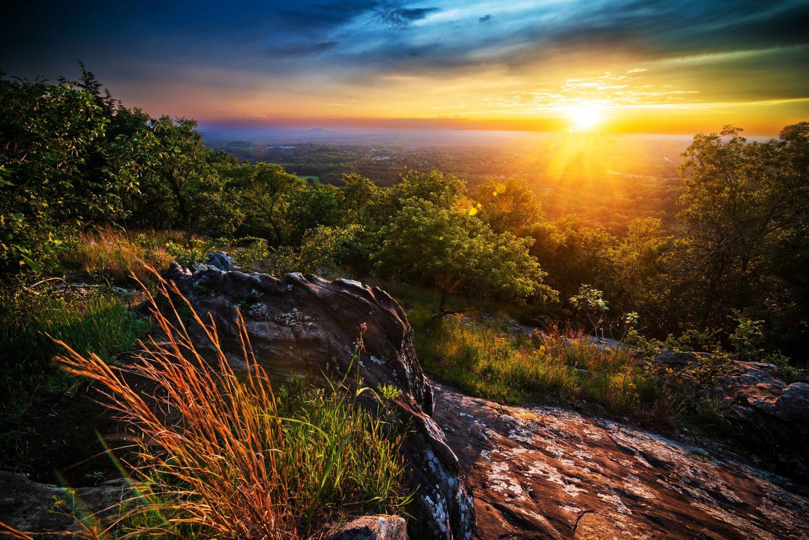 kennesaw