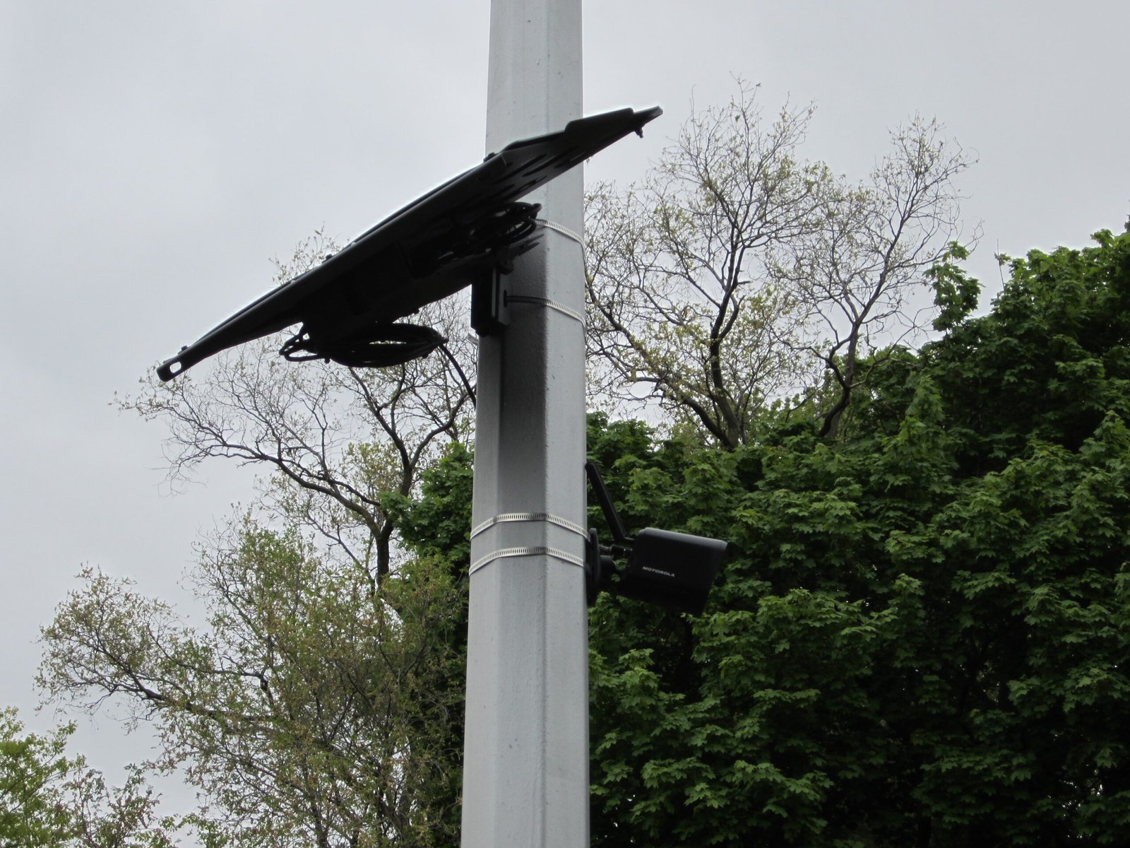 Automated license plate reader camera mounted on a roadside pole