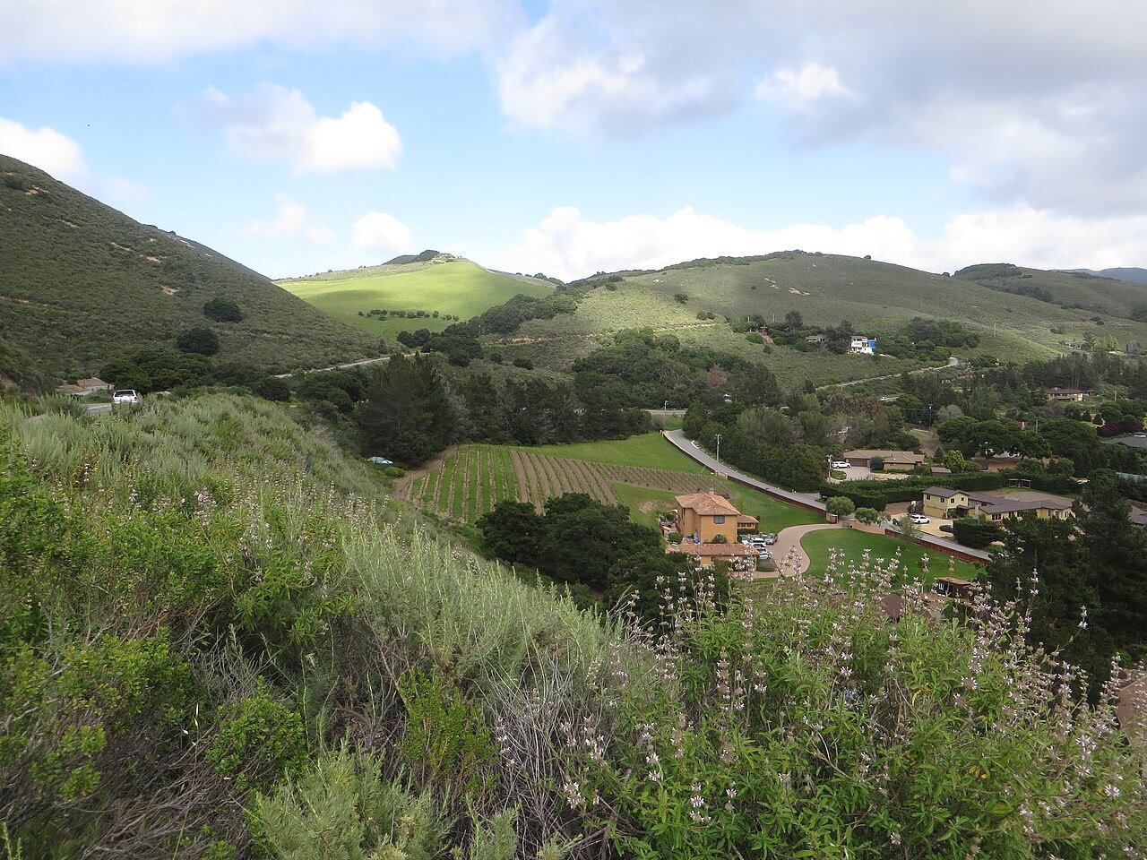 Green hills, vineyards, and homes in Carmel Valley, California.