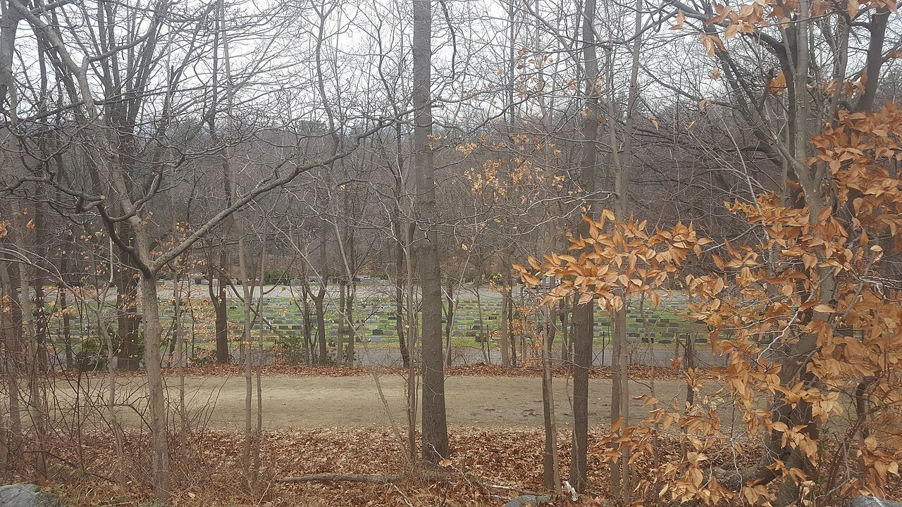 Leafless trees and graves in Sleepy Hollow Cemetery, viewed from Rockefeller State Park in New York.